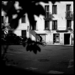 Analog: Nord Italien 2025 ©Franziska Reichel Fotografien 